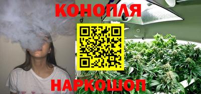 мдпв Татарск