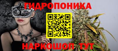 дмт Ставрополь